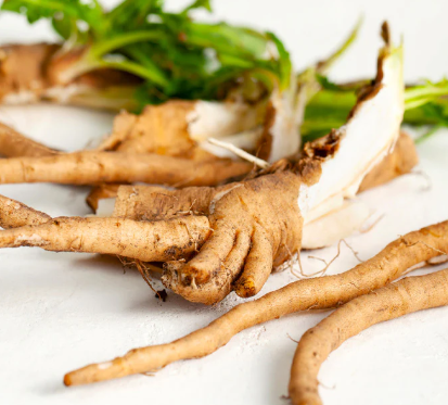 Chicory root inulin — natural prebiotic fiber for gut health and weight loss support